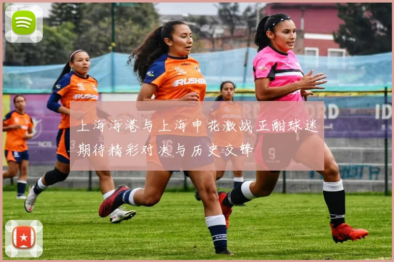 上海海港与上海申花激战正酣球迷期待精彩对决与历史交锋