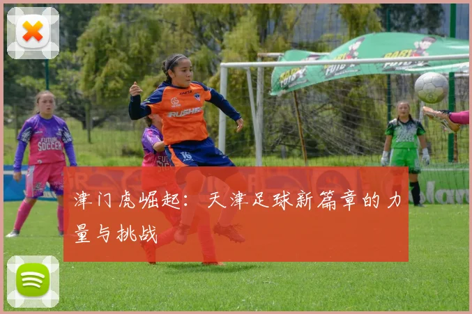 津门虎崛起：天津足球新篇章的力量与挑战