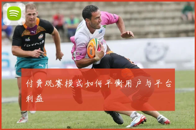 付费观赛模式如何平衡用户与平台利益