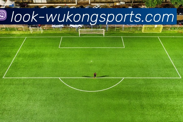 多媒体互动体验